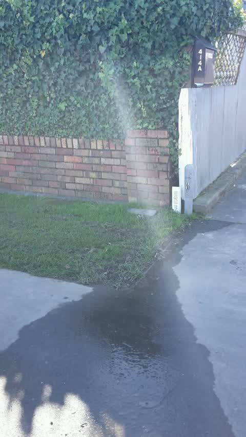 Water Supply, a report photo