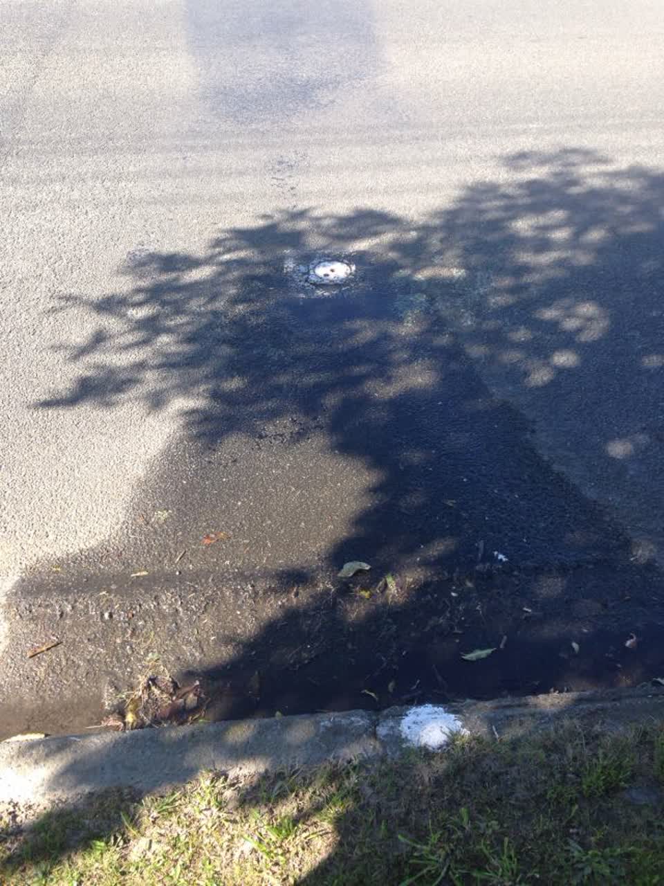 The photograph attached to this water supply report