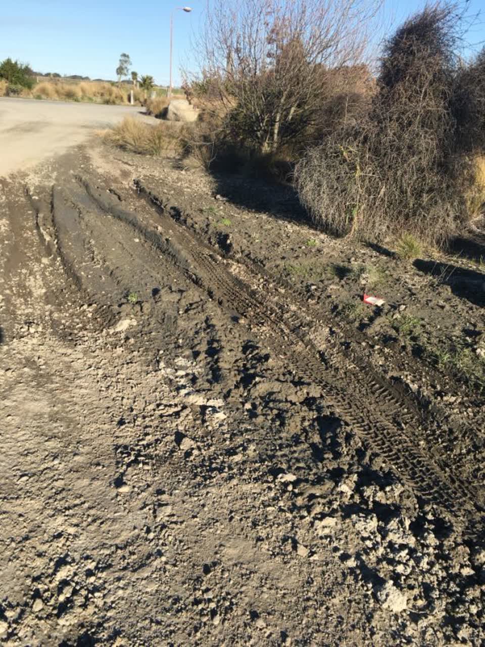 The photograph attached to this parks report