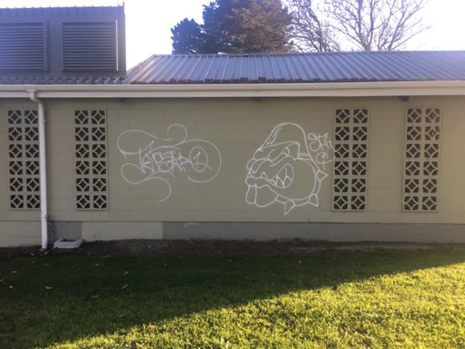 The photograph attached to this graffiti report
