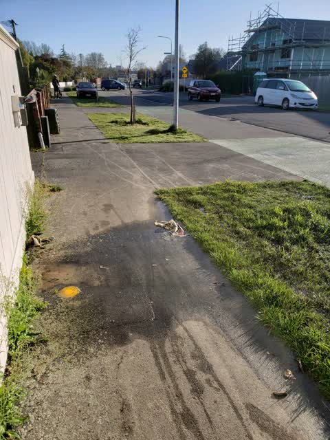 Water Supply, a report photo
