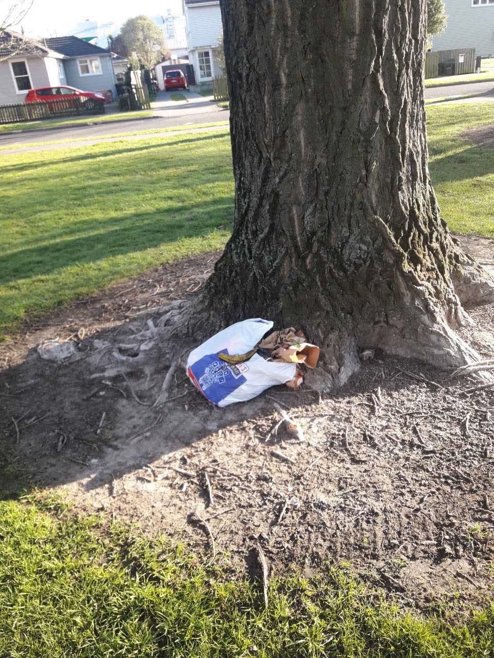 The photograph attached to this parks report
