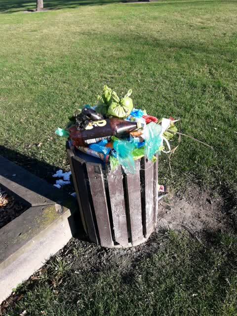 Rubbish/Recycling, a report photo
