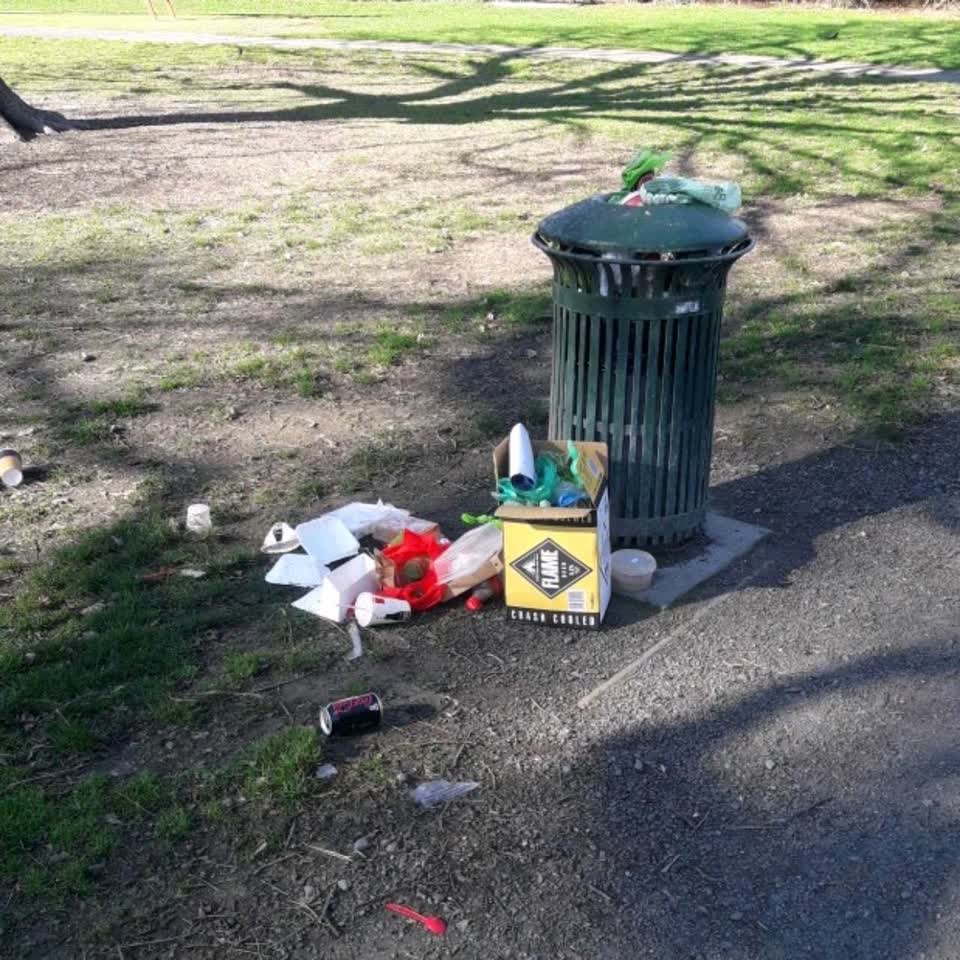 The photograph attached to this rubbish/recycling report