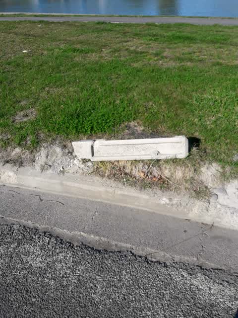Parks, a report photo