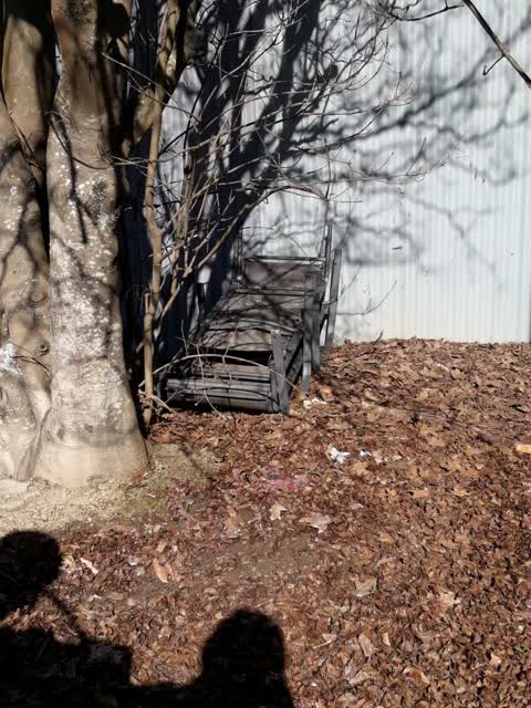 Rubbish/Recycling, a report photo
