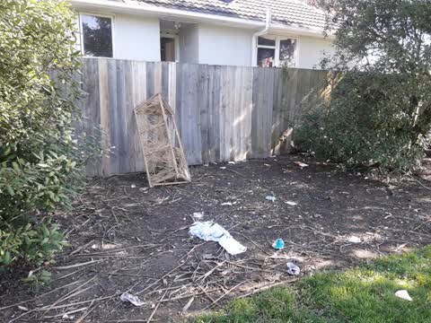 Rubbish/Recycling, a report photo