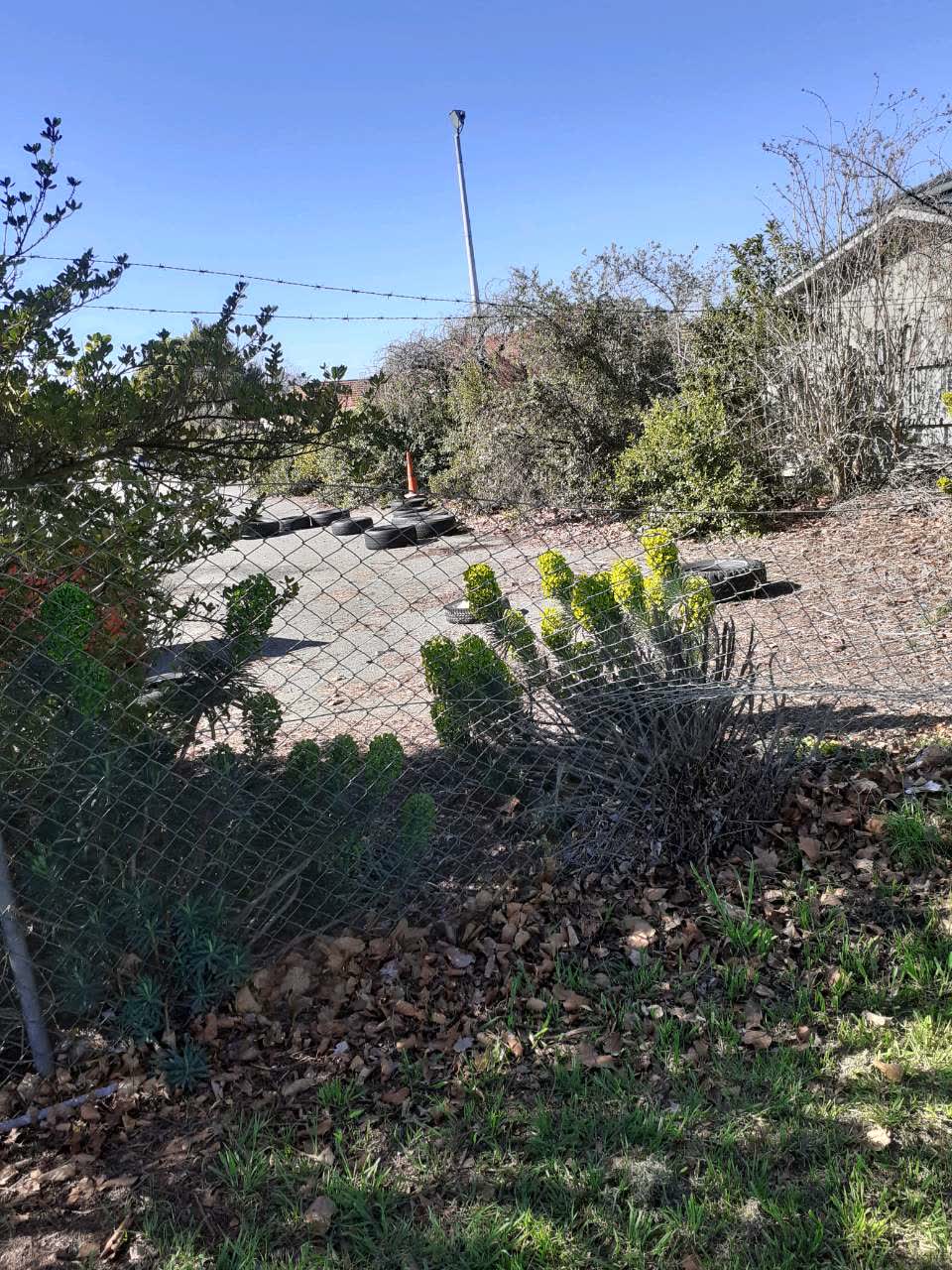 The photograph attached to this parks report