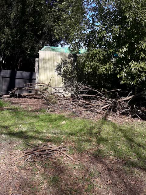 Parks, a report photo