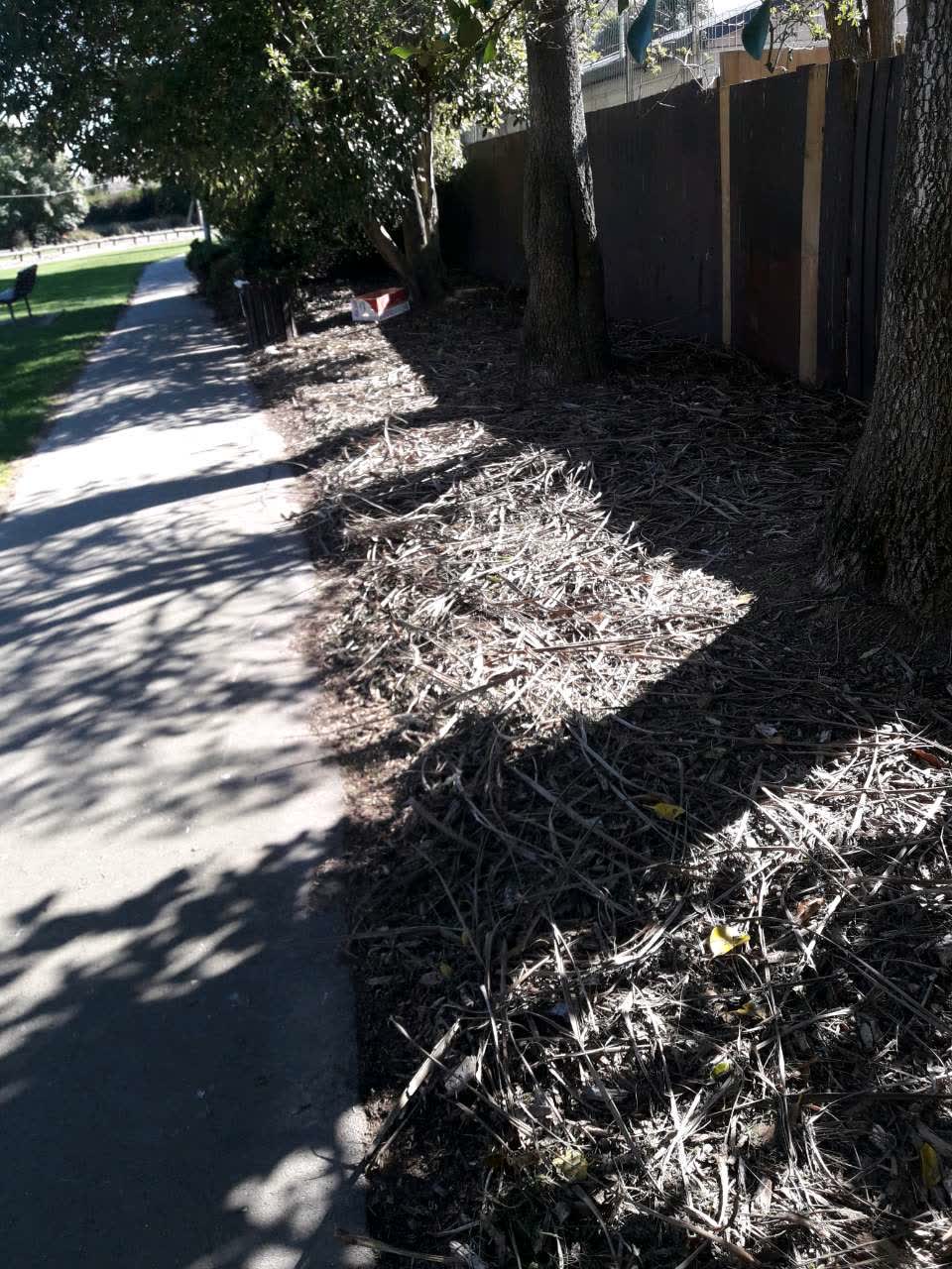 The photograph attached to this parks report