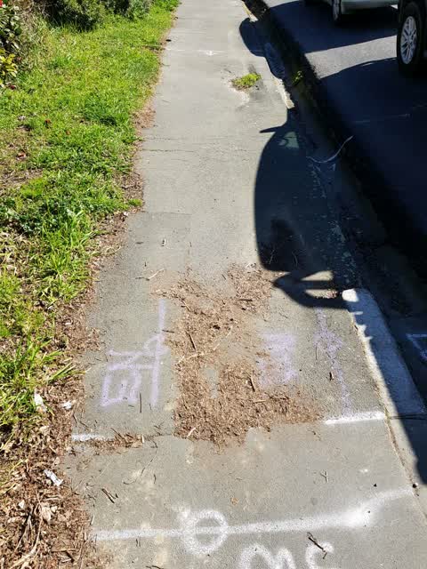 Roading/Streets, a report photo