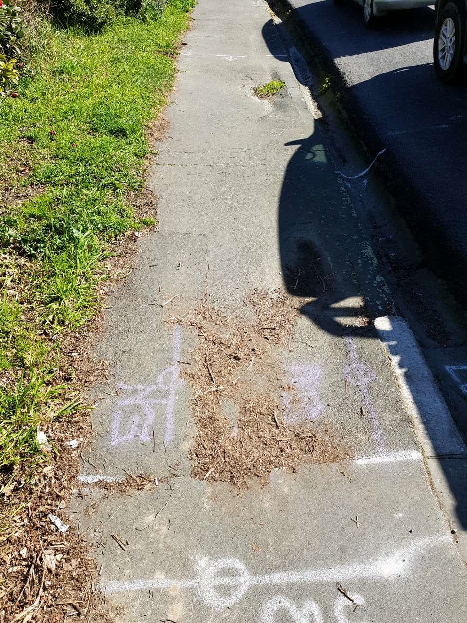 The photograph attached to this roading/streets report