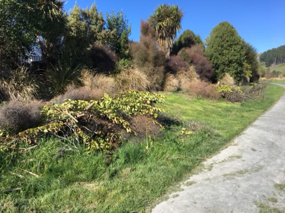 The photograph attached to this parks report