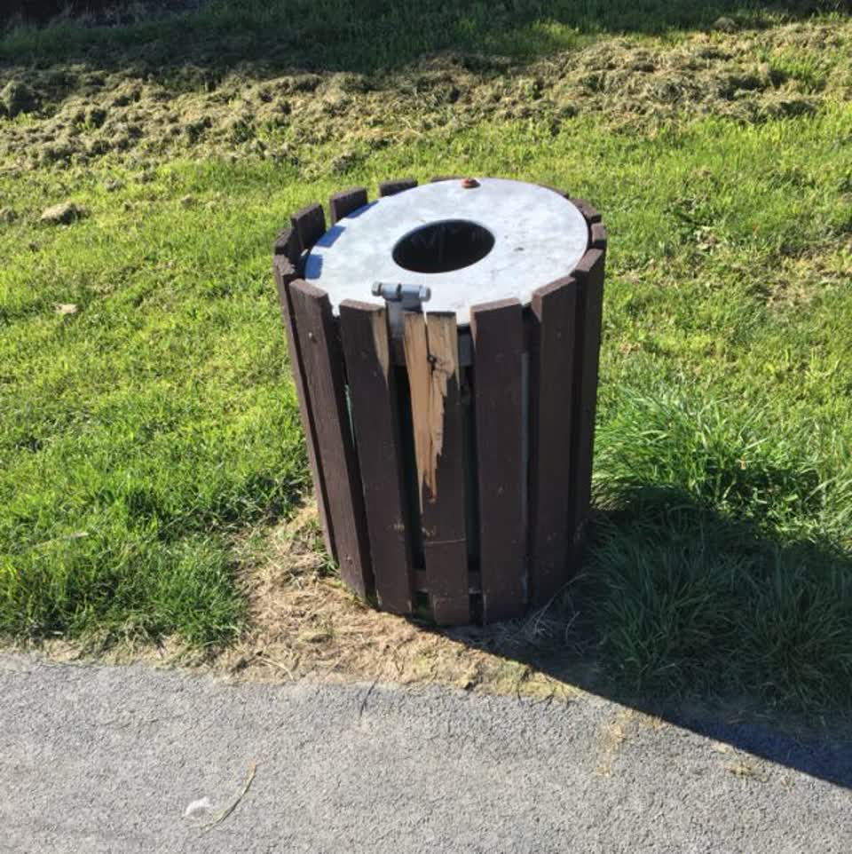 The photograph attached to this parks report
