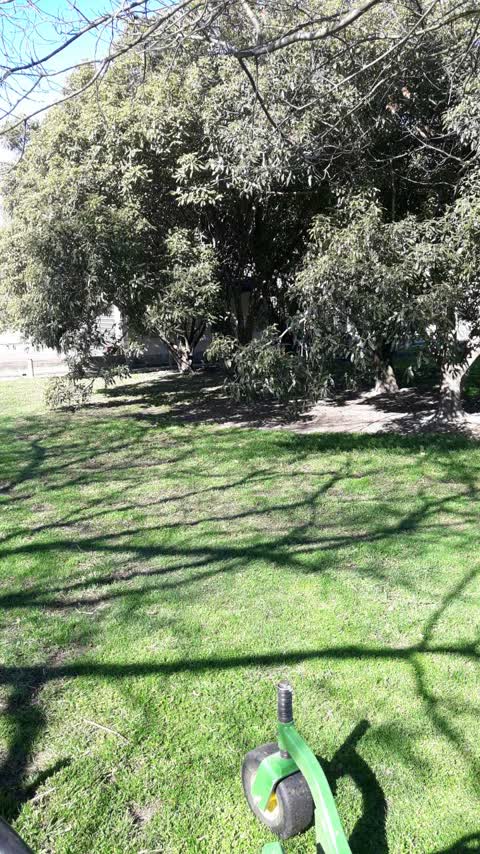 Parks, a report photo