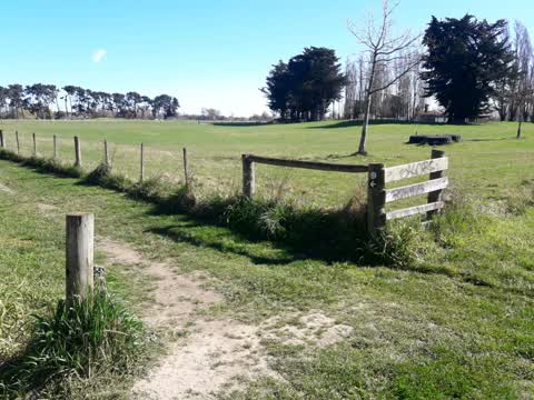 Parks, a report photo