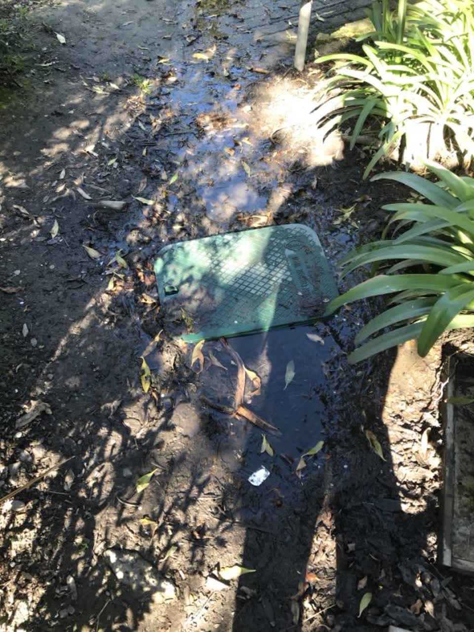 The photograph attached to this water supply report