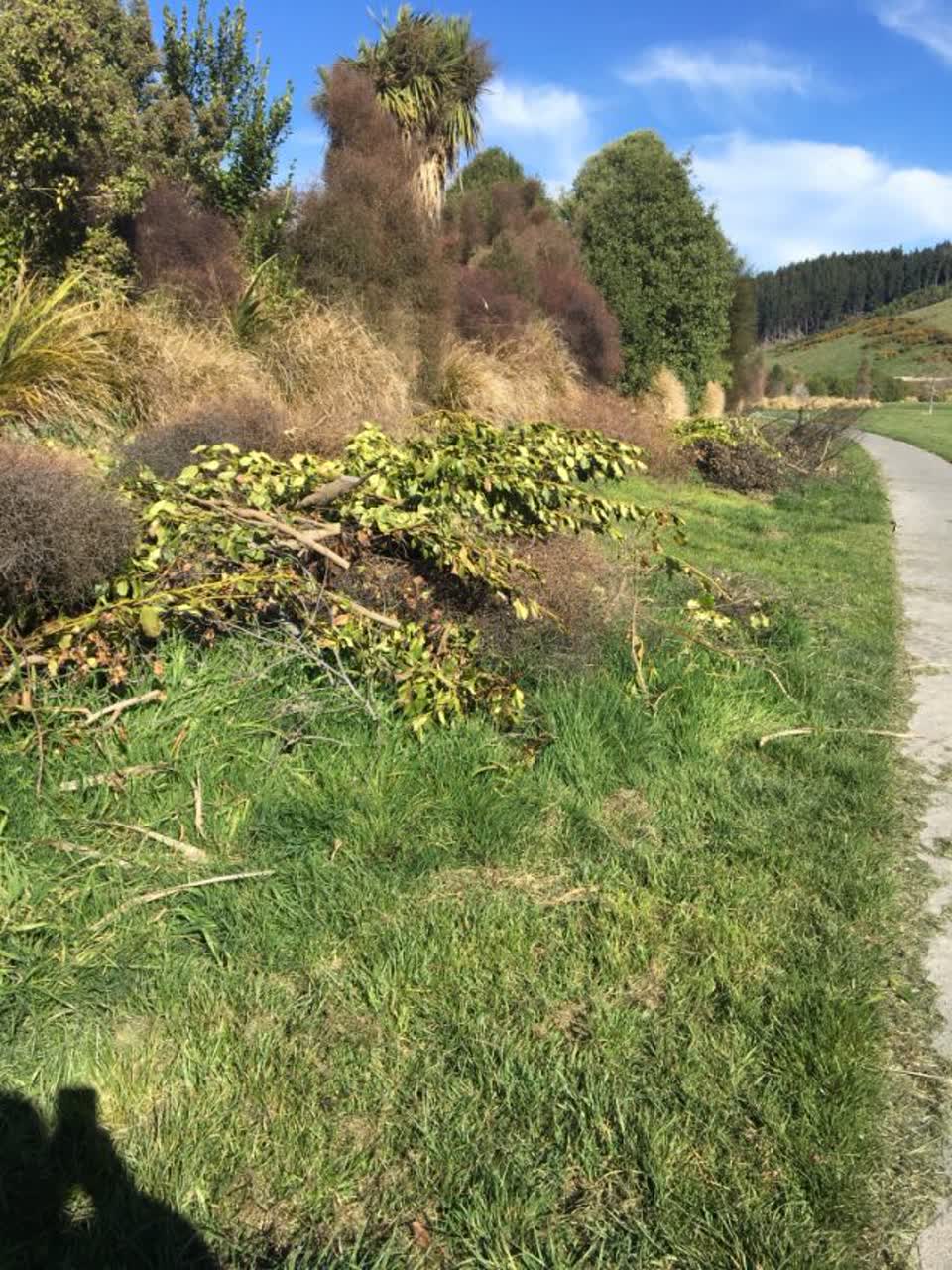The photograph attached to this parks report
