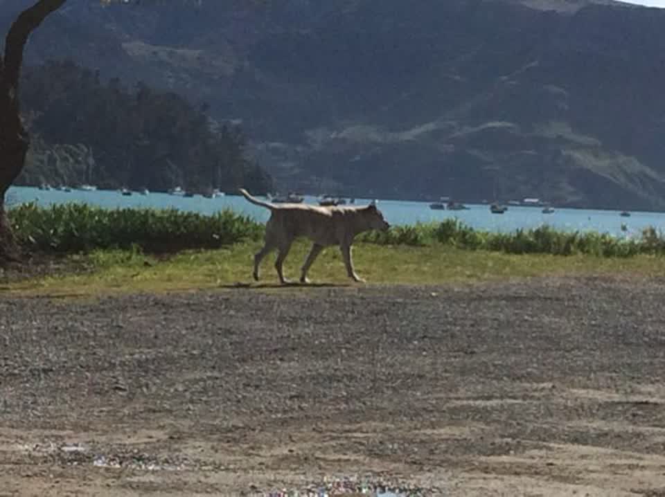 The photograph attached to this parks report