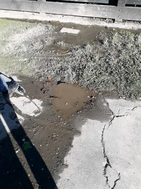 Water Supply, a report photo