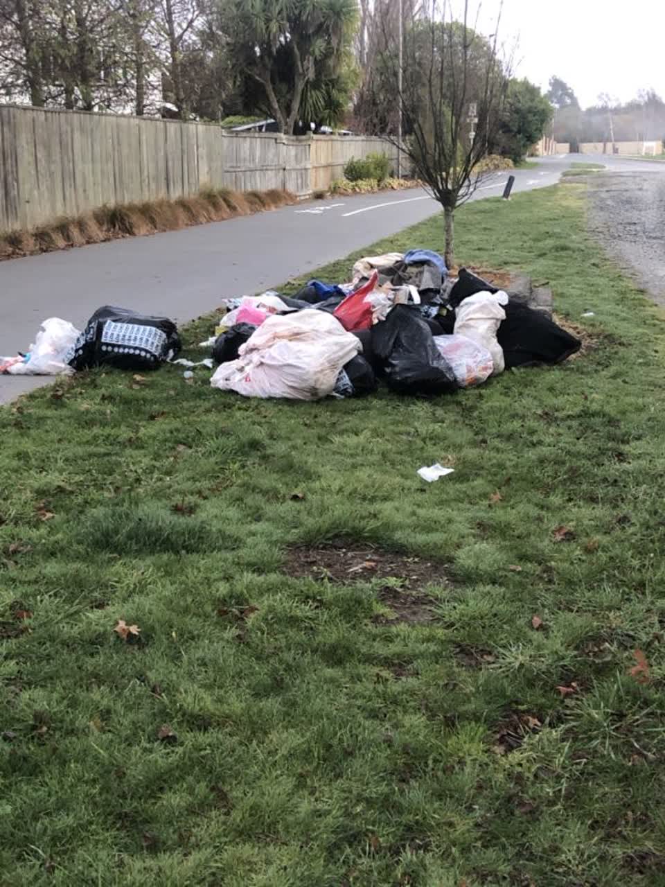 The photograph attached to this rubbish/recycling report