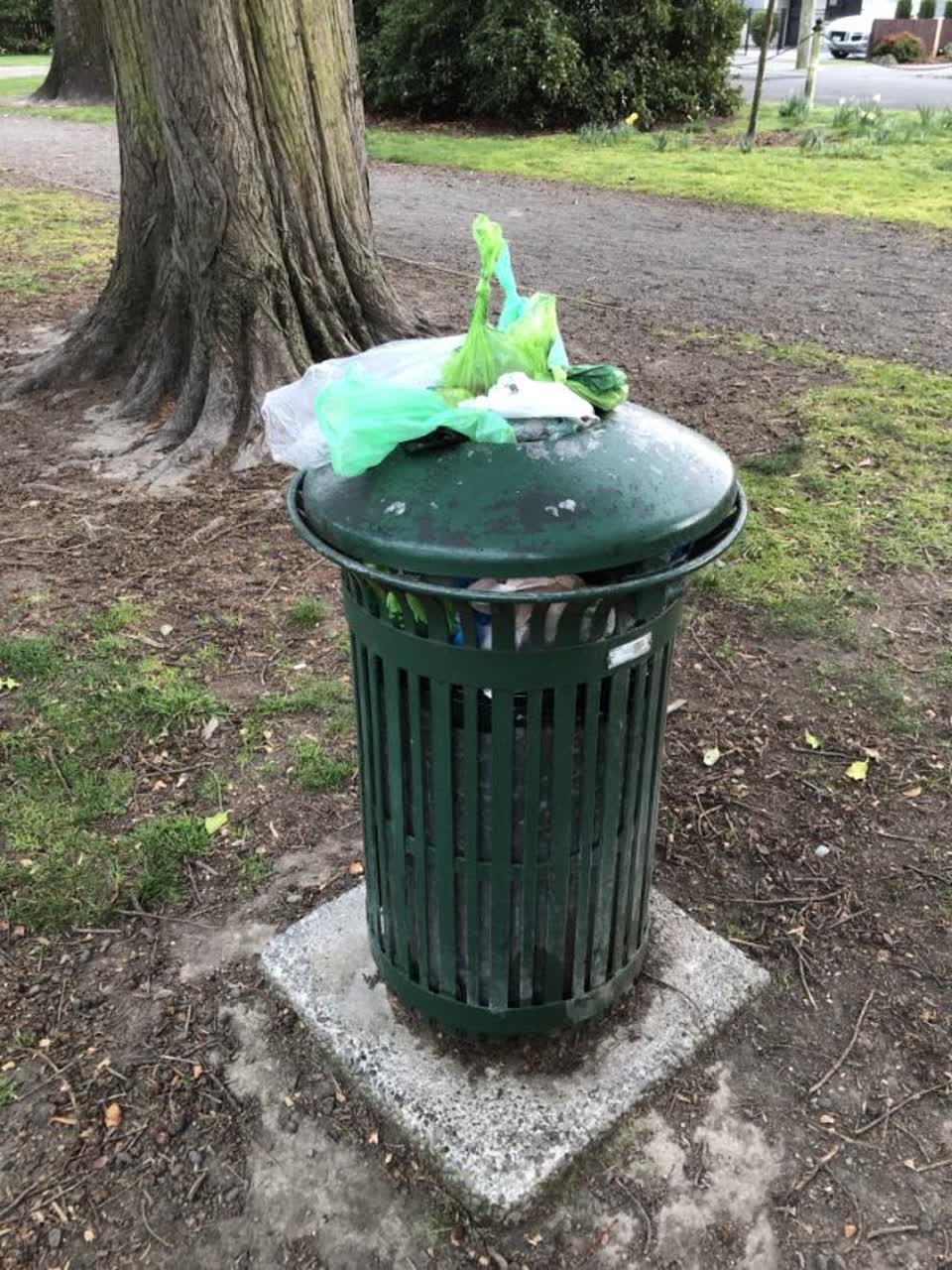 The photograph attached to this parks report