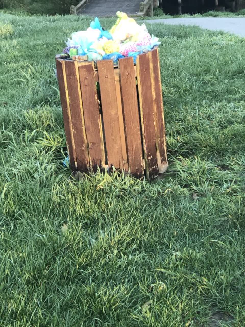 The photograph attached to this rubbish/recycling report
