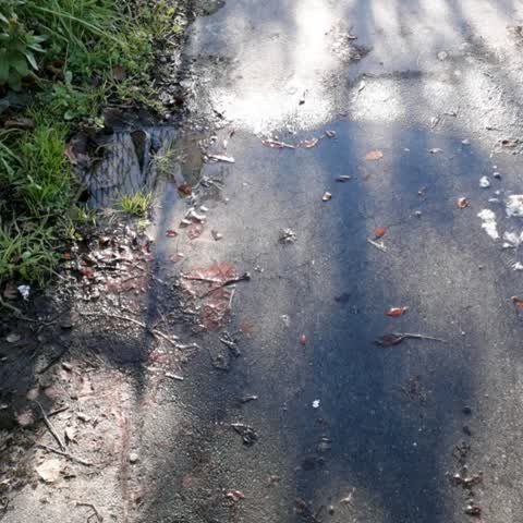 Flooding, a report photo