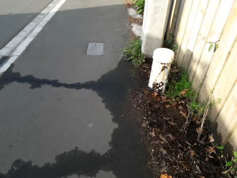 Flooding — a report photo