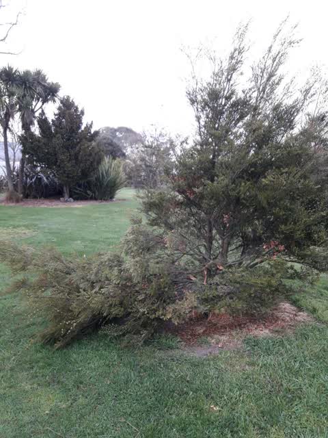 Parks, a report photo
