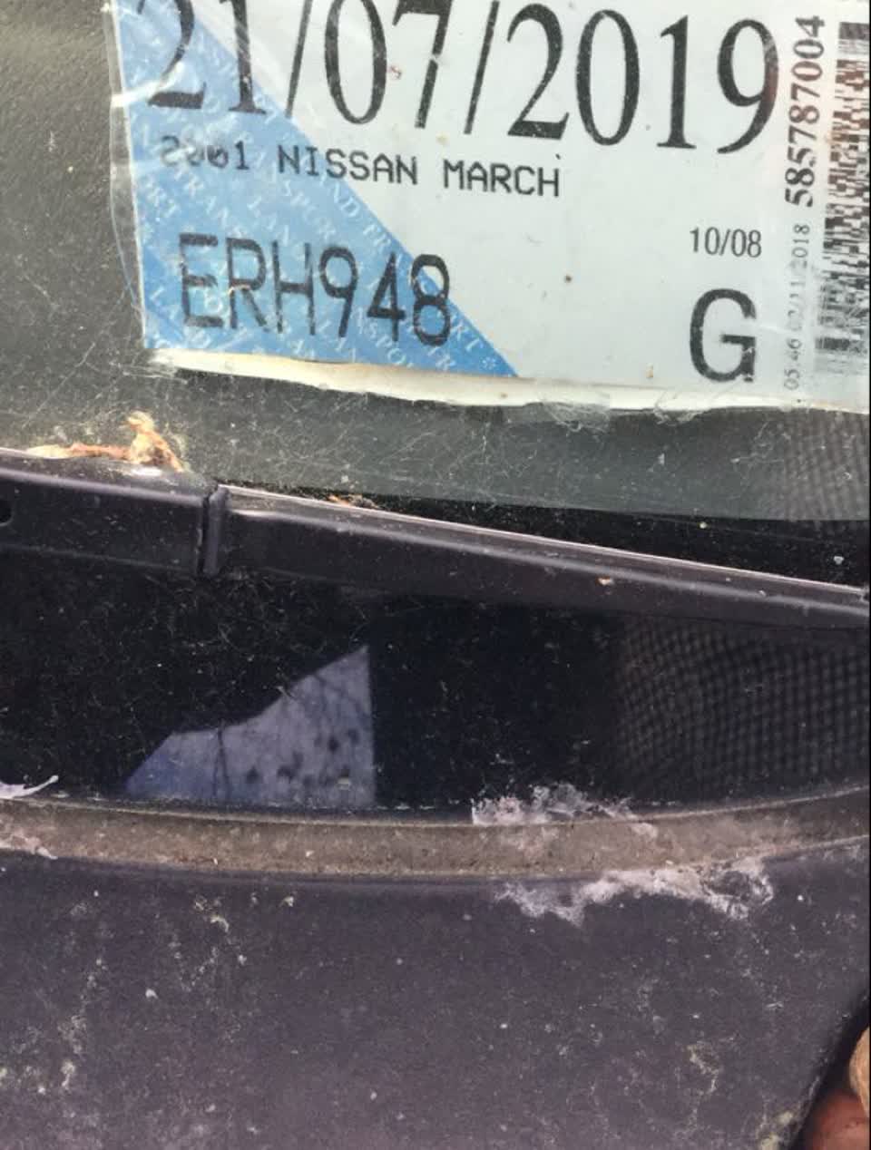 The photograph attached to this parks report