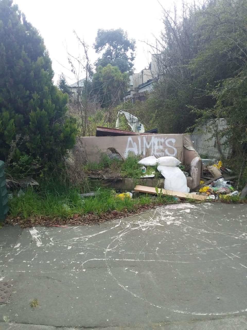 The photograph attached to this rubbish/recycling report