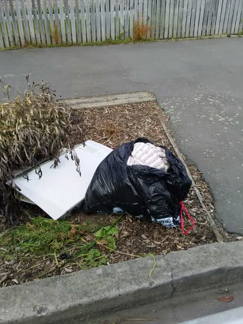 Rubbish/Recycling, a report photo