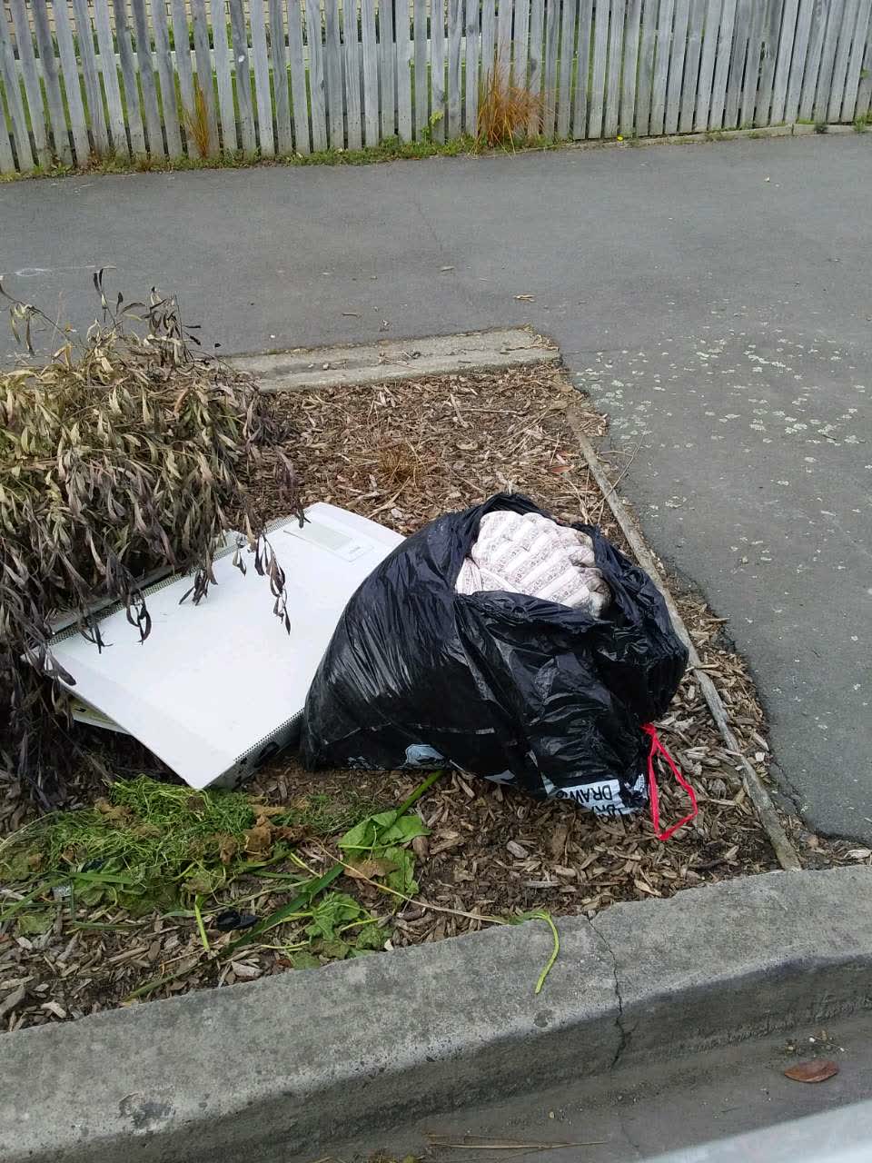 The photograph attached to this rubbish/recycling report