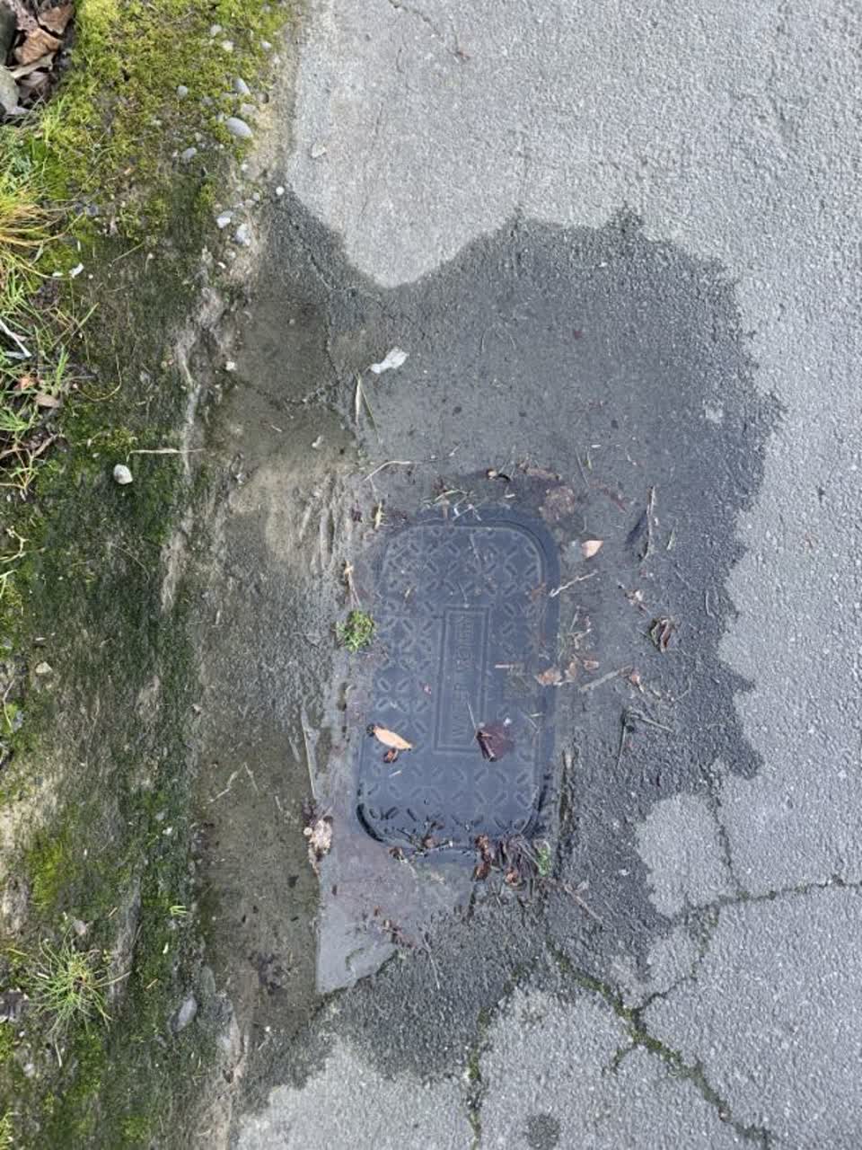 The photograph attached to this water supply report