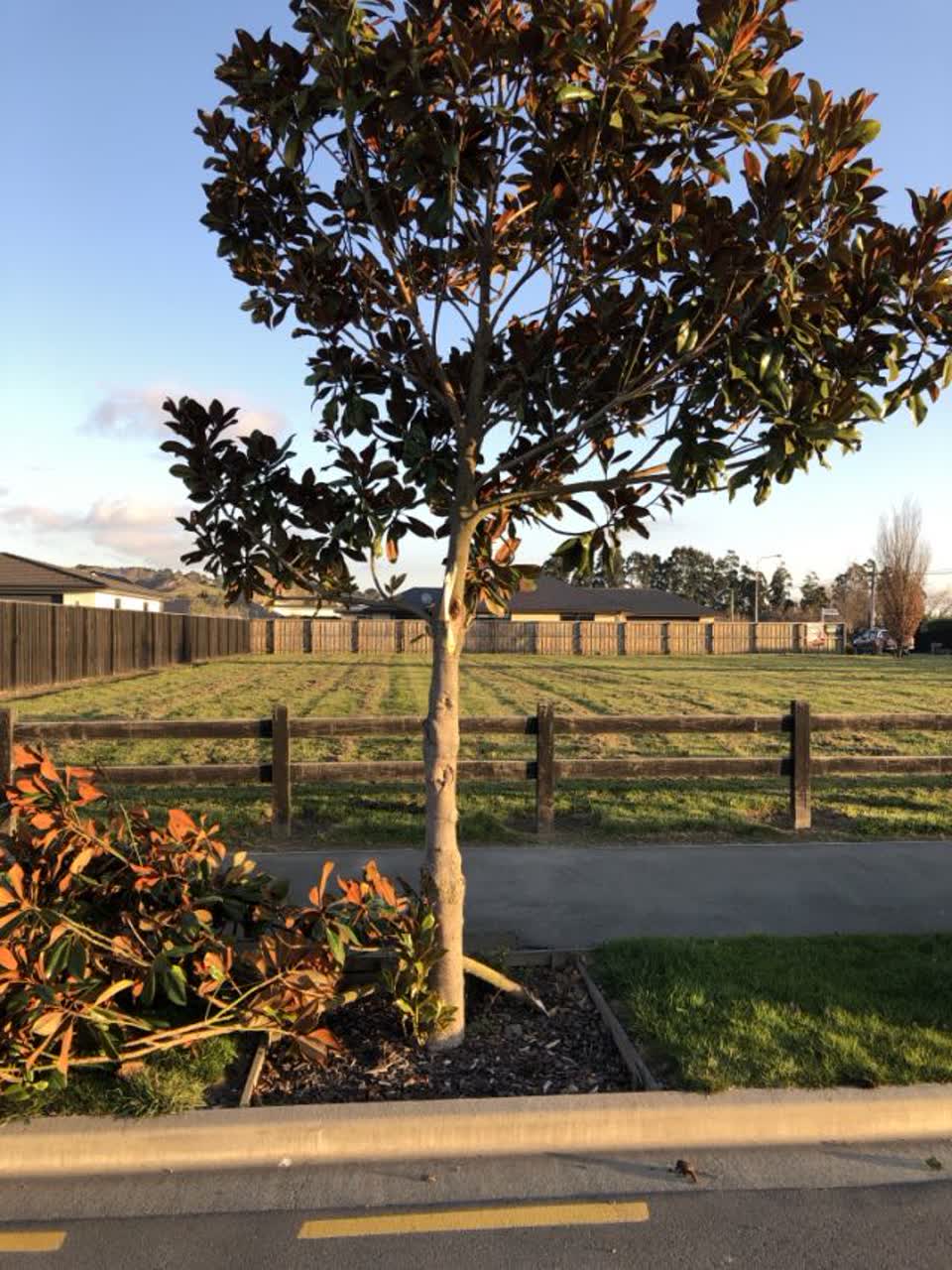 The photograph attached to this parks report