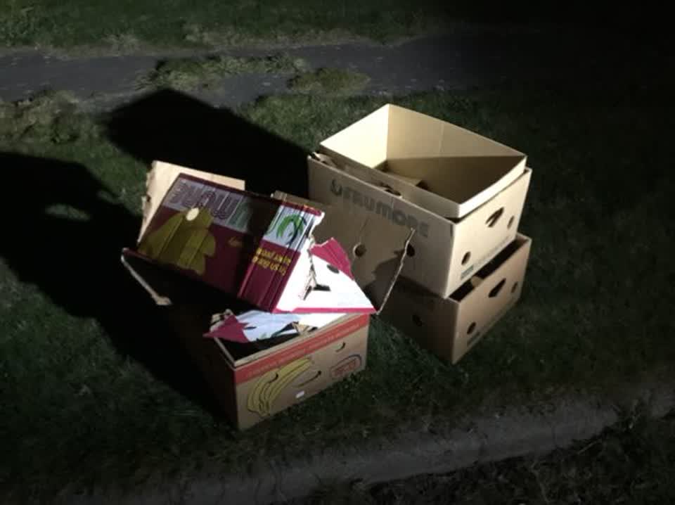 The photograph attached to this rubbish/recycling report