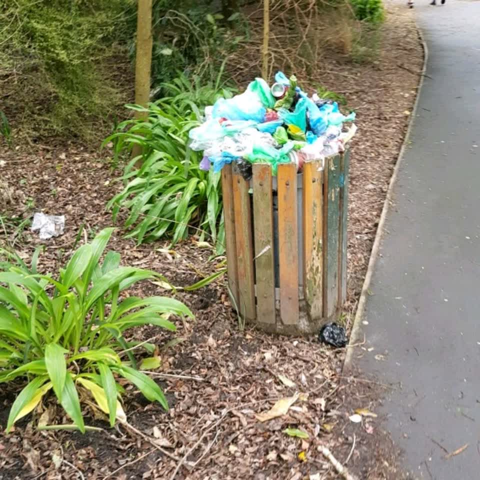 The photograph attached to this rubbish/recycling report