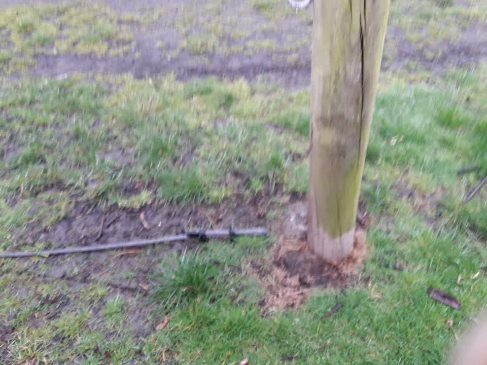 The photograph attached to this parks report
