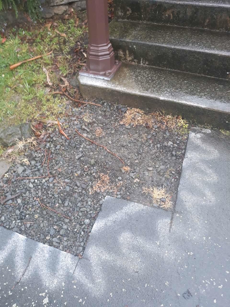 The photograph attached to this parks report