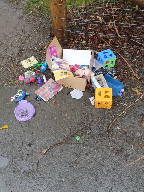 Rubbish/Recycling — a report photo