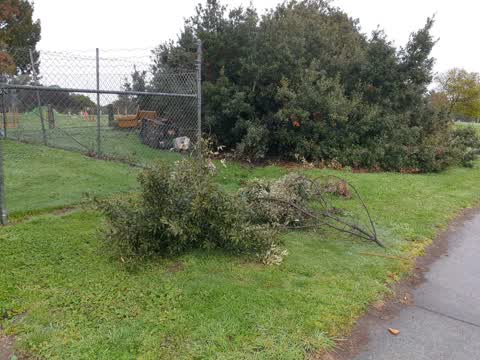 Parks — a report photo