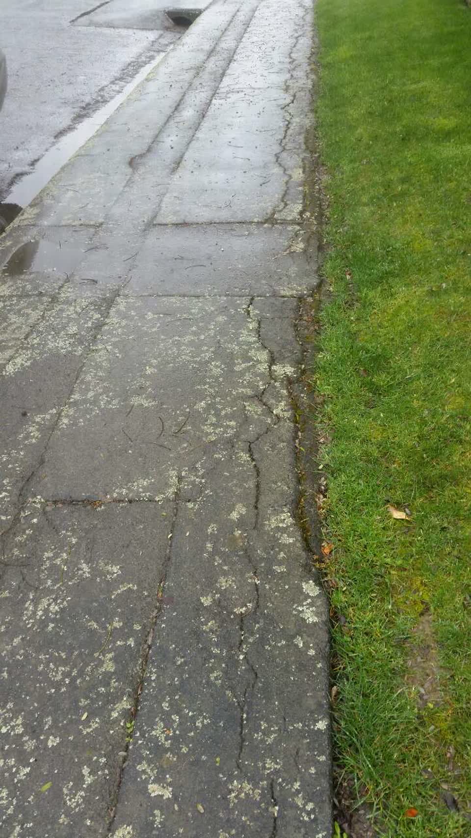 The photograph attached to this roading/streets report