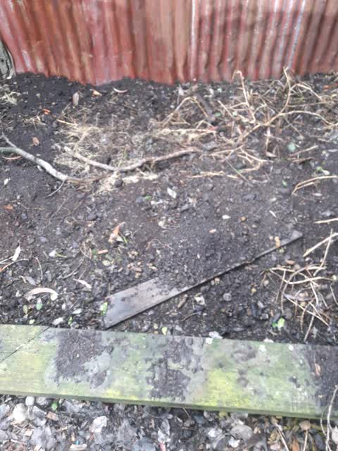 Rubbish/Recycling, a report photo