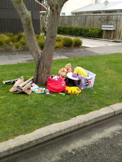 Rubbish/Recycling, a report photo