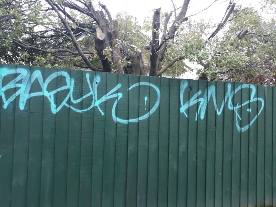 The photograph attached to this graffiti report