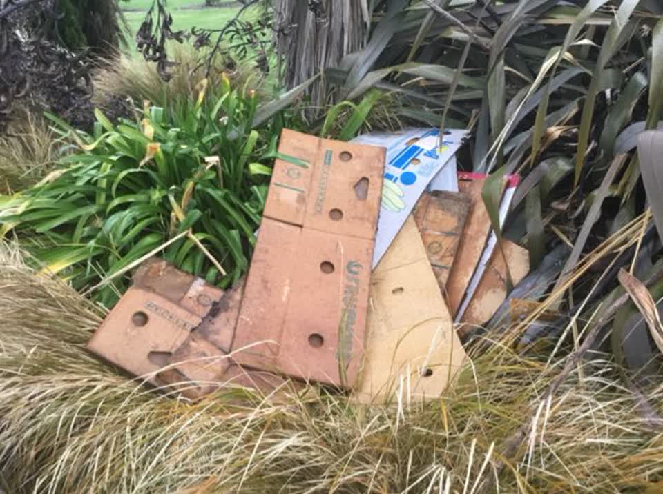 The photograph attached to this rubbish/recycling report