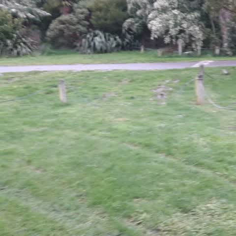 Parks, a report photo