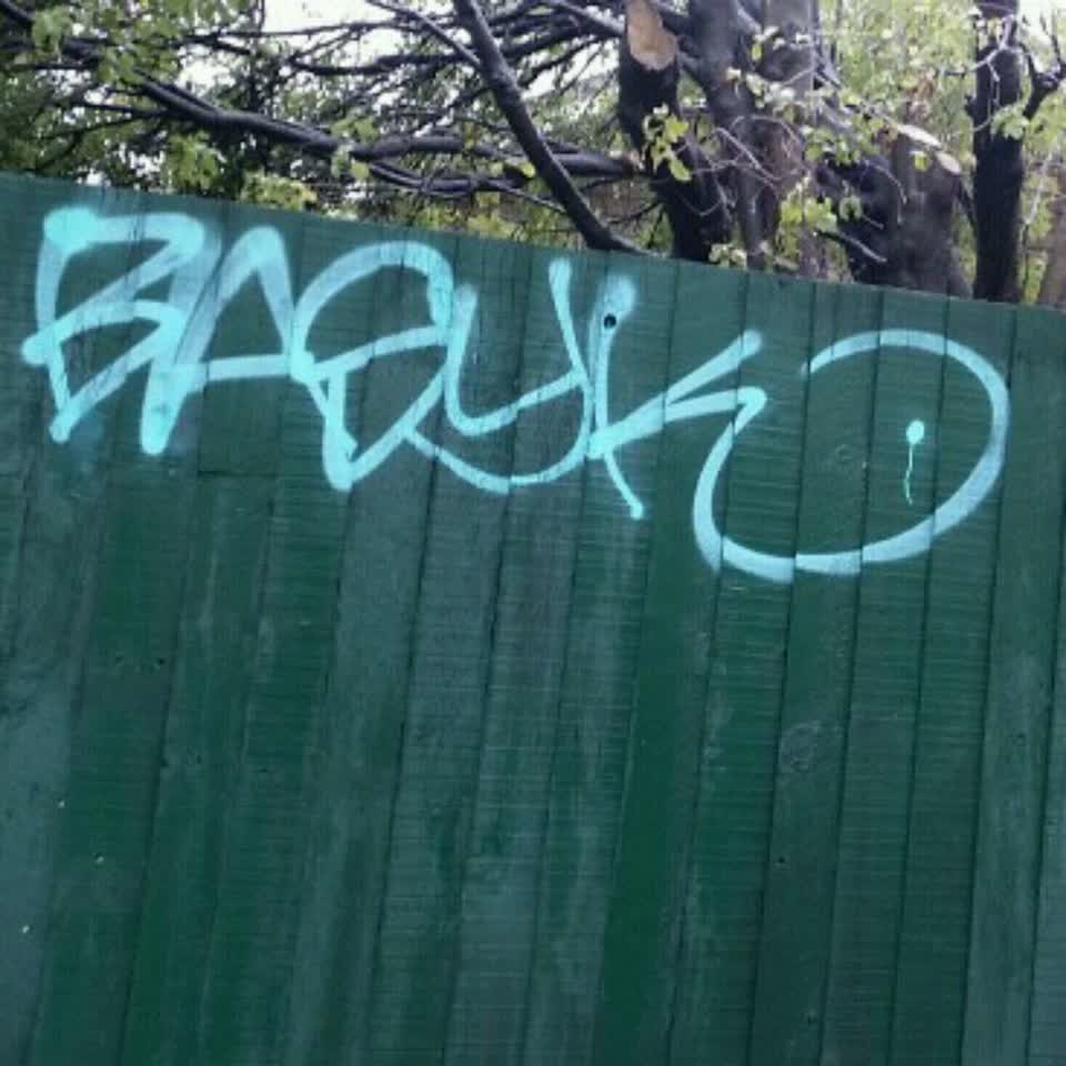 The photograph attached to this graffiti report