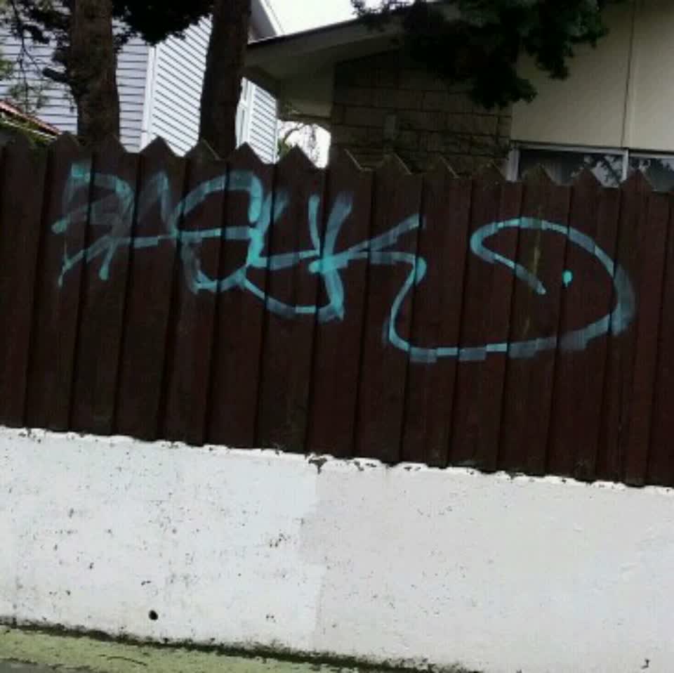 The photograph attached to this graffiti report